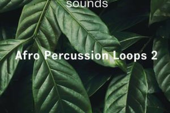 Riemann Kollektion – ASHRAM Afro Percussion Loops 2 (WAV)