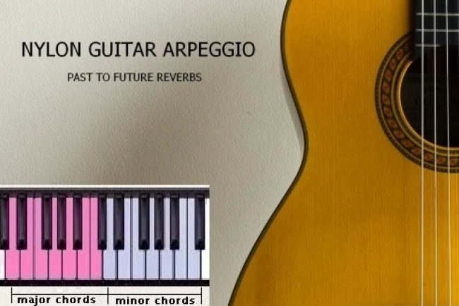 Past to Future Reverbs – Nylon Guitar Arpeggio (KONTAKT)