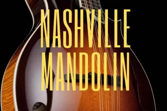 Past to Future Reverbs – Nashville Mandolin Strummer (KONTAKT)
