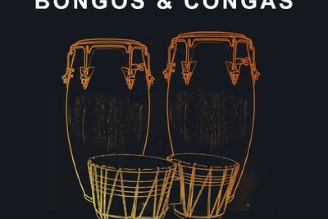 House Of Loop - House Bongos & Congas (WAV) - drum samples