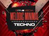 5Pin Media Melodic Minimal Techno WAV MiDi